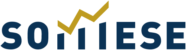 fragebogen.sommese.de
